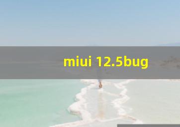 miui 12.5bug